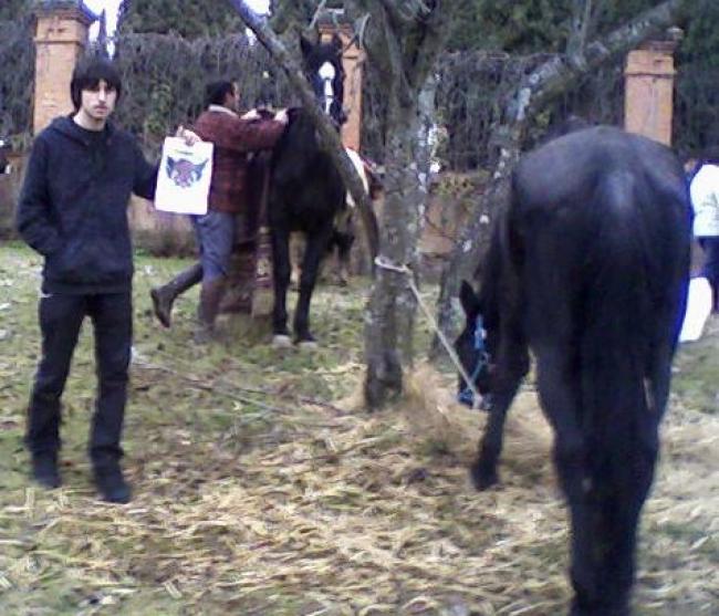 050 - Con un caballo negro.