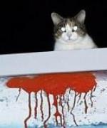Gato Asesino
