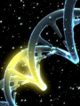 El ciclo natural de la evolución 
