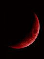 Bajo una Luna ensangrentada