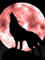 Cuando la luna llora
