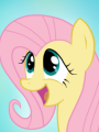 ZZ-Espectador-Fluttershy