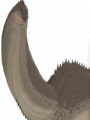 Dinosaurio Cuello-largo