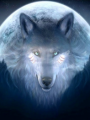 Espíritu de los Lobos