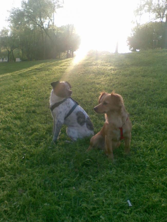 Posando en el parque