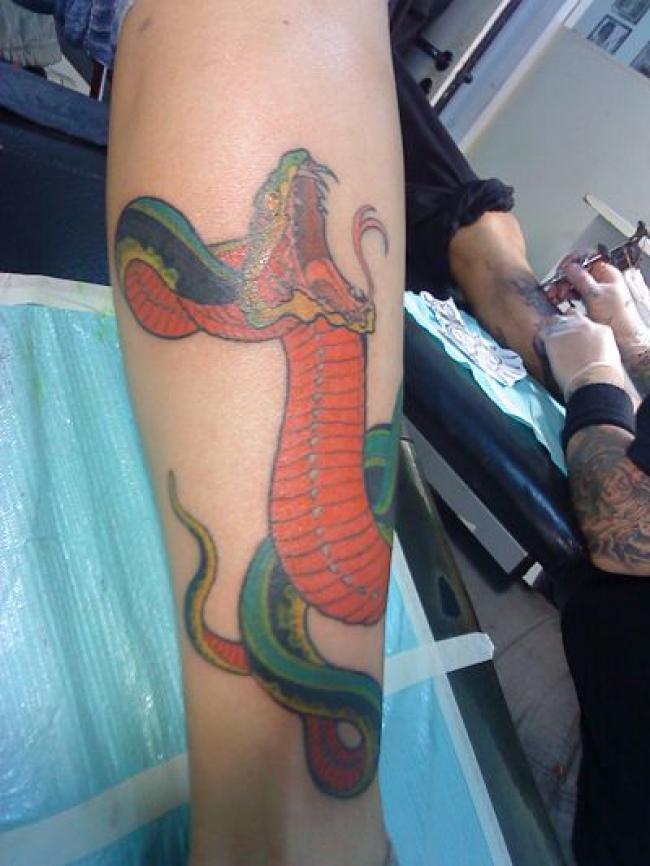 Nueva serpiente loca