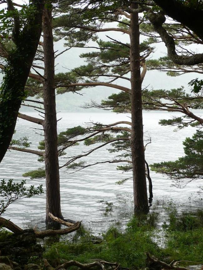 Killernay National Park.