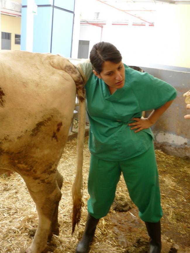 ¿Dónde están las llaves? (Rina)
