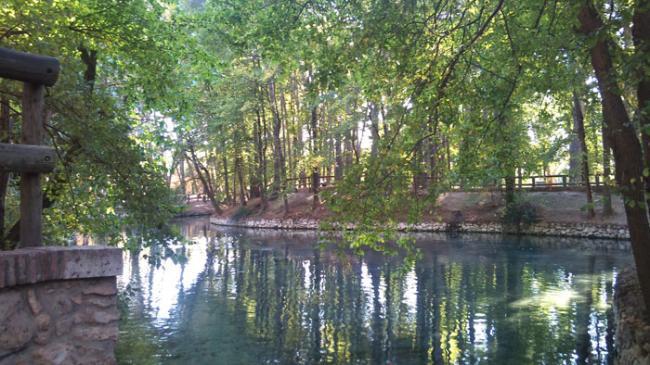 Estanque San Vicente de Llíria