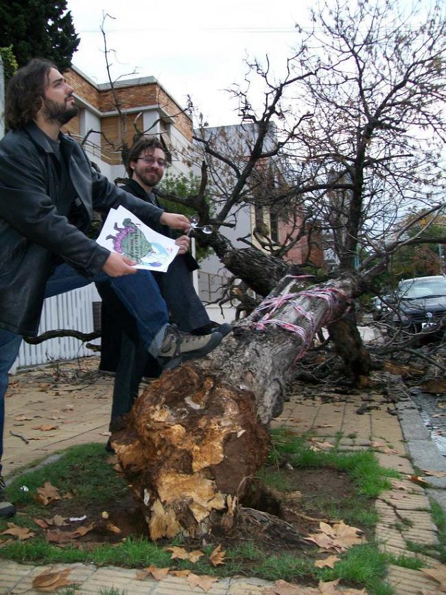 52. Podando un árbol con una cuchara