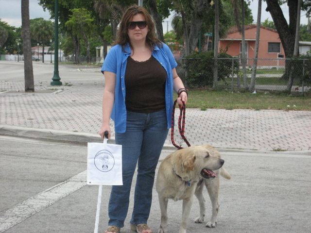 41-Cruzando la calle con gafas negras, un perro y un bastón blanco
