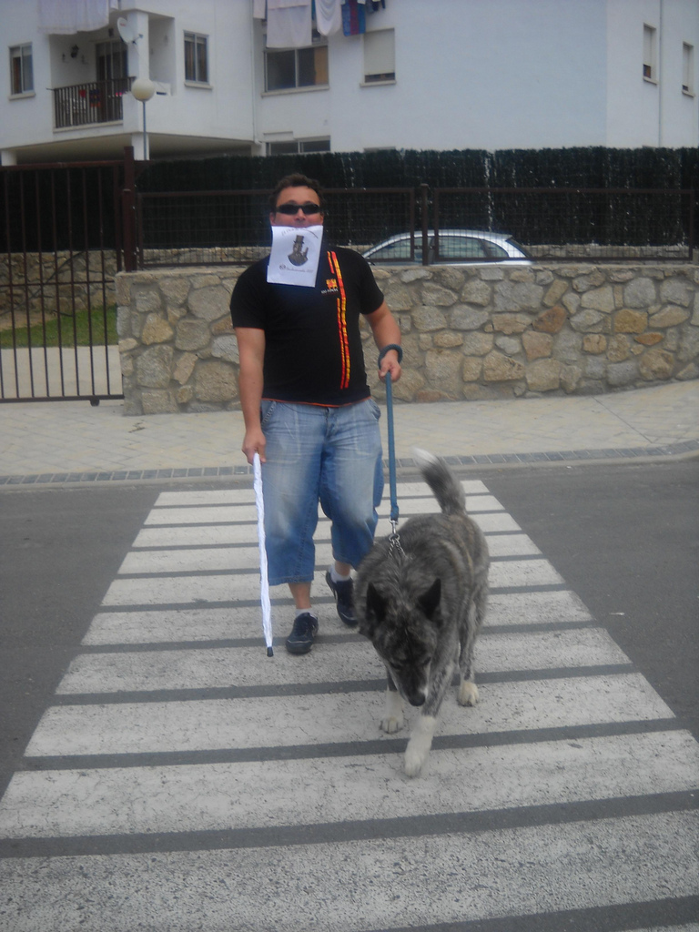 41. Cruzando la calle con gafas negras, un perro y un bastón blanco.