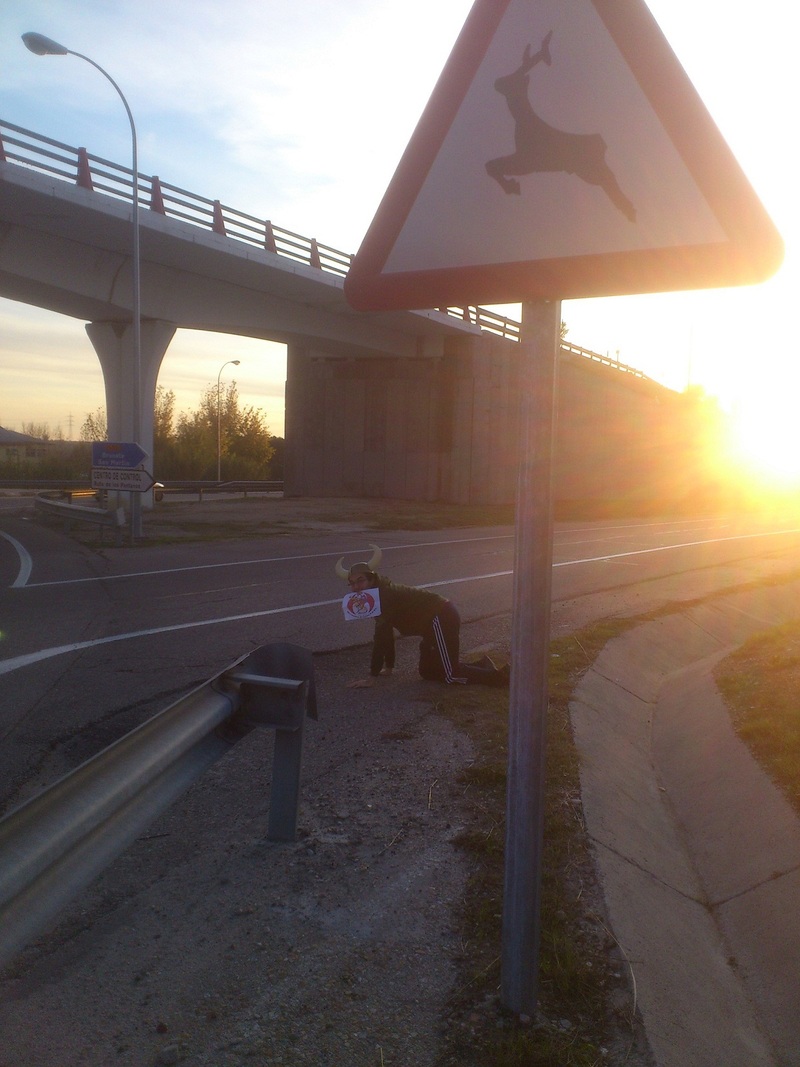 49. Cruzando una calle a cuatro patas con unos cuernos en la cabeza junto a una señal de animales salvajes.