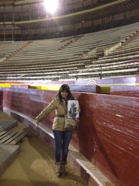 Prueba 66. En la arena de una plaza de toros (de una plaza de toros fija, no una portátil o desmontable).