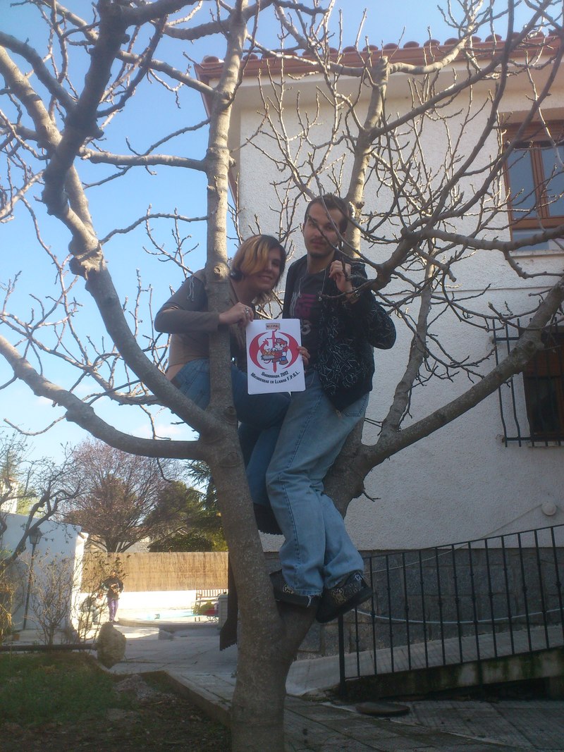 81. Dos miembros del mismo equipo subidos a un árbol.