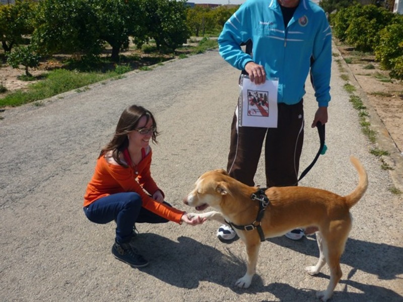 43. Con un perro levantando la patita a modo de saludo.