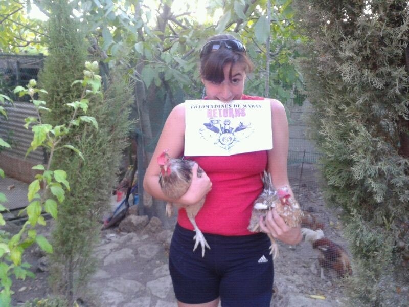 20.- Con una gallina debajo de cada brazo.