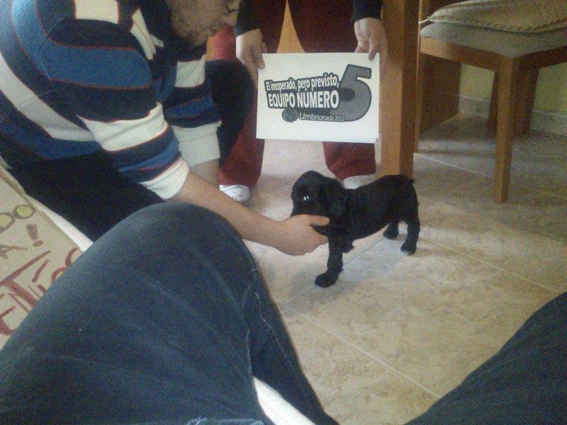 Foto nº 43 Con un perro levantando la patita a modo de saludo. 