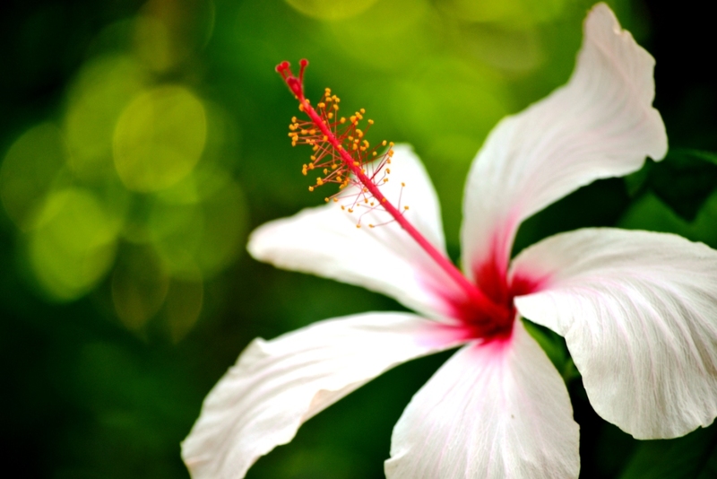 El Otoño que quería ser Primavera... Y lo consiguió