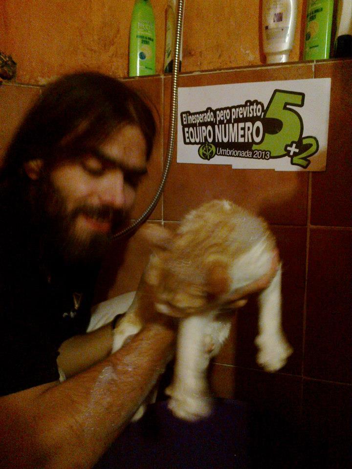 34. Bañando al gato.