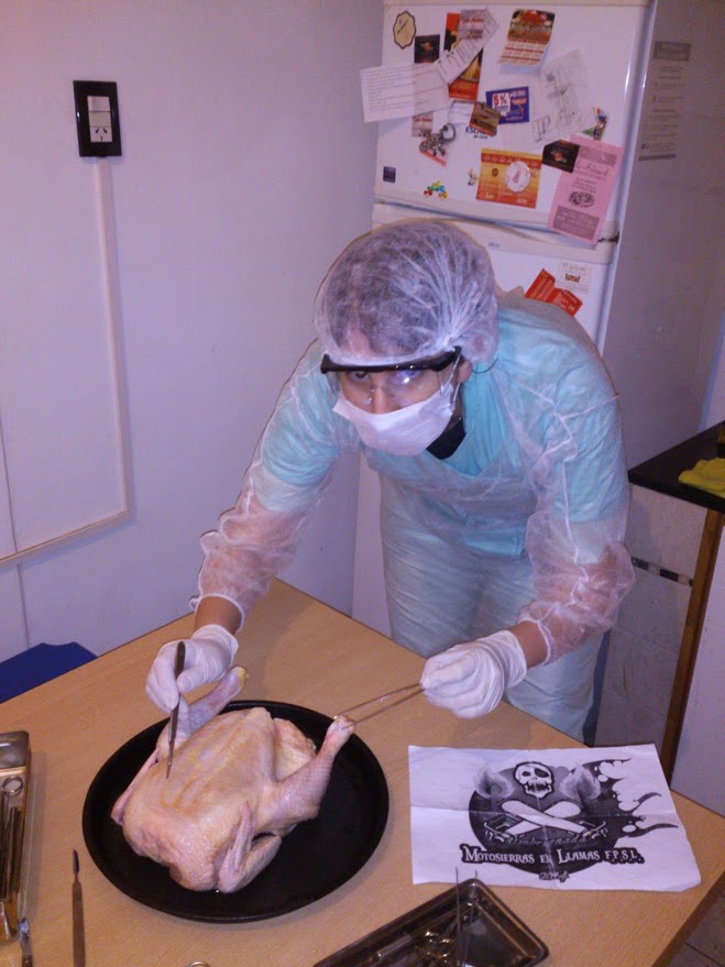 76. Vestido/a de cirujano operando un pollo (el pollo que pillas en la carnicería, no uno vivo, animalicos).