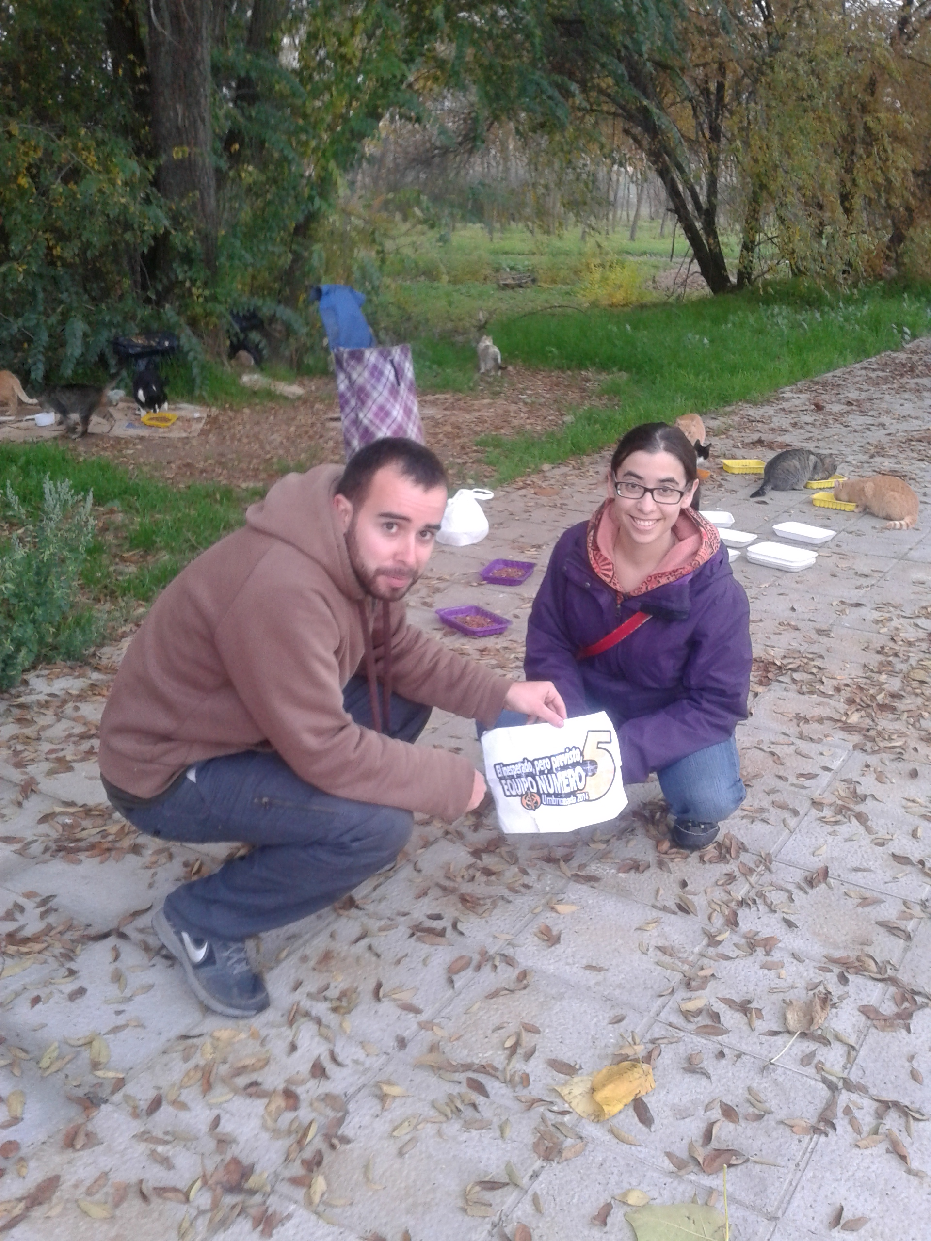 97. Una umbriana acompañada de al menos tres gatos. +1 punto si hay al menos seis gatos.