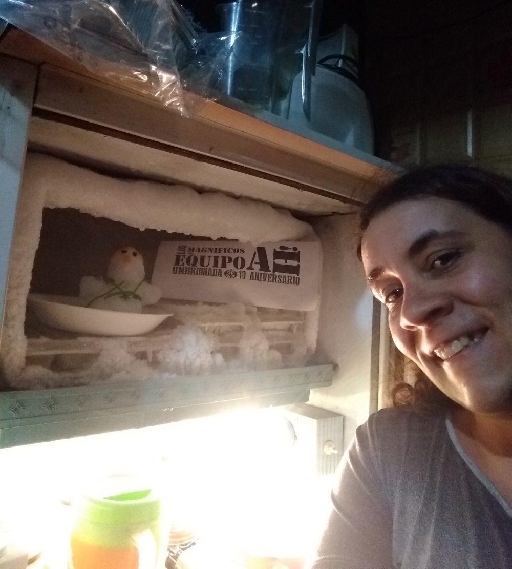 26. Con un muñeco hecho de nieve, que esté dentro de un refrigerador de casa.