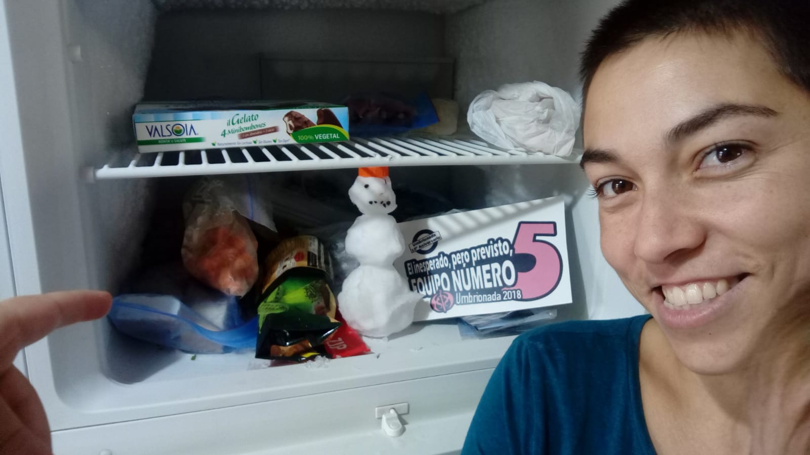 26. Con un muñeco hecho de nieve, que esté dentro de un refrigerador de casa. +1 si está dentro de una heladera comercial, de las que se usan para los