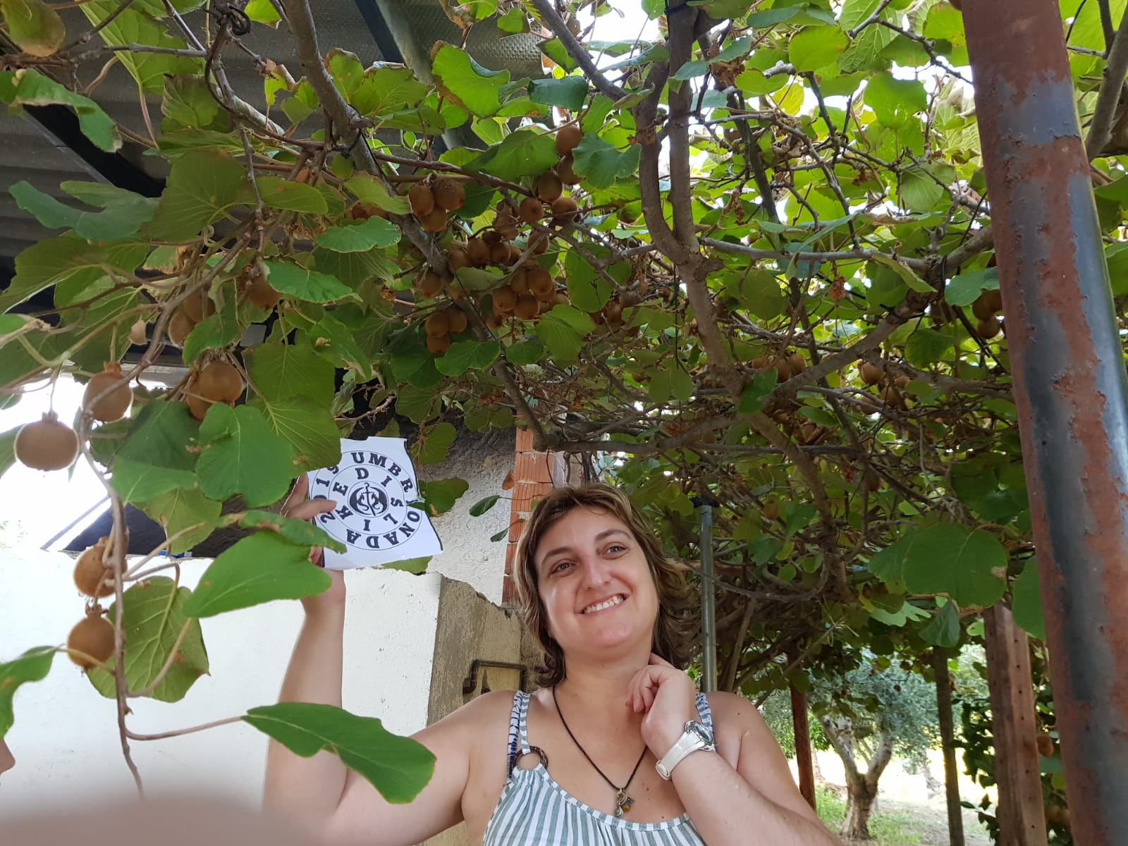 7 Junto a un árbol frutal que tenga abundante fruta.