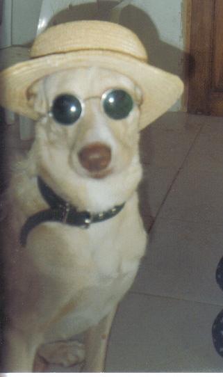 Scotty2 (amanin)
