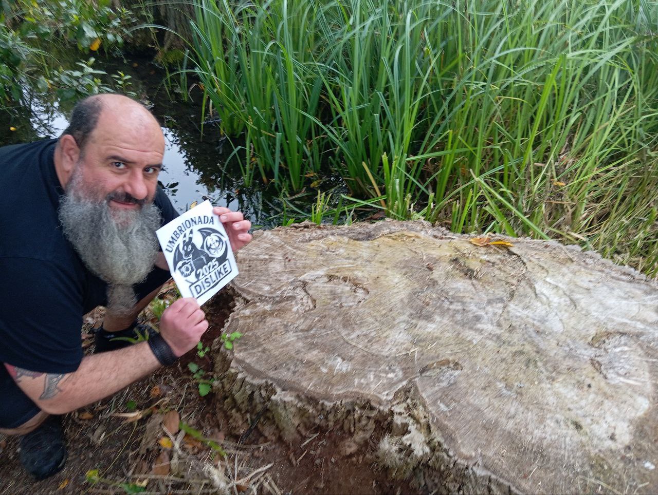52 - Con un árbol cortado que tenga más de 100 años. Queremos poder contar los anillos.