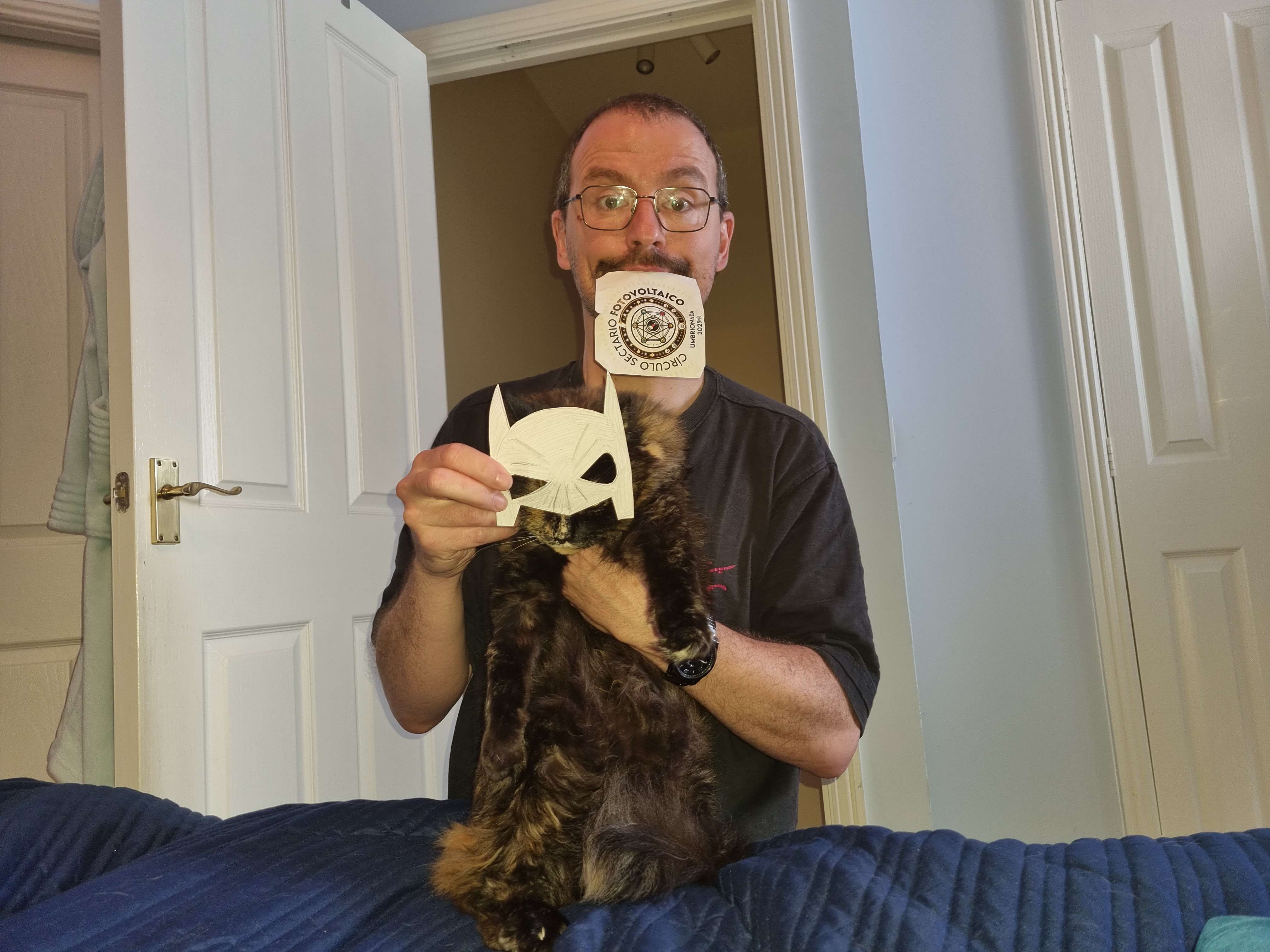 45- Con un gato que lleve puesta en la cabeza la máscara de Batman
