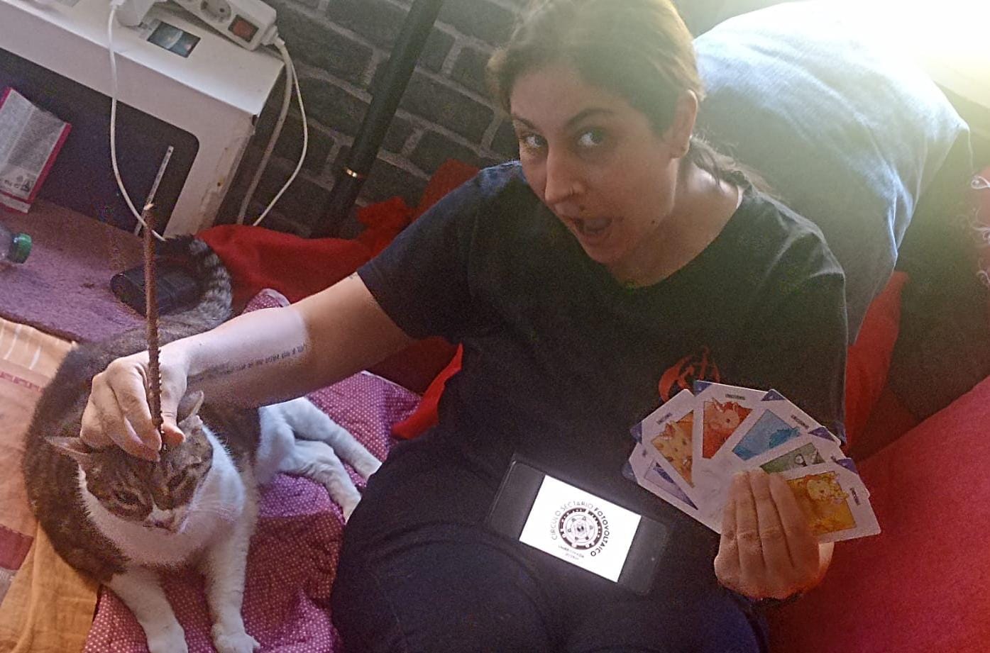 25 - Con cartas del juego Unestable Unicorns por valor de 6 unicornios y con un animal vivo con un cuerno en la frente (si no lo tiene, puedes ponérse