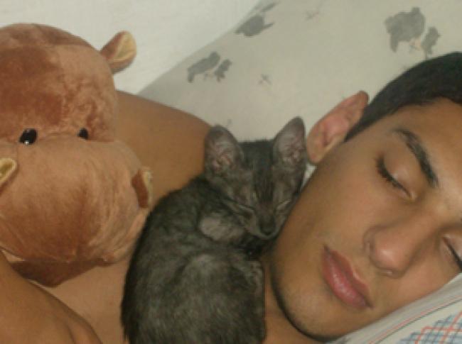 Otra para Miaww