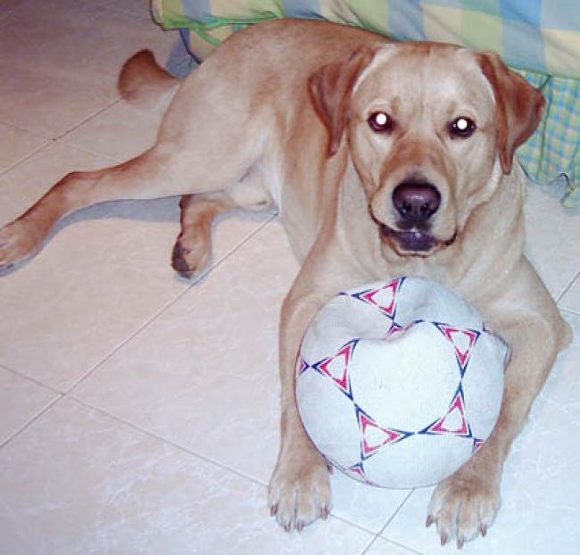 Buster