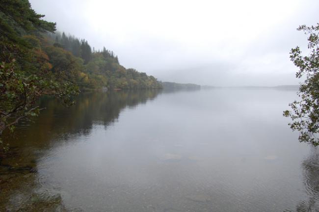 el_drizzit en Irlanda XVIII: Parque Nacional de Killarney II