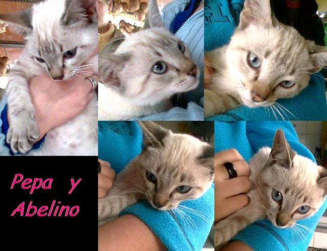 Pepa y Abelino