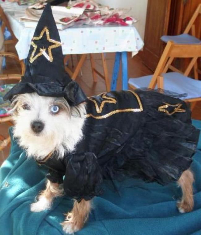El pequeño brujo