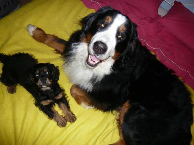 jasper + boone