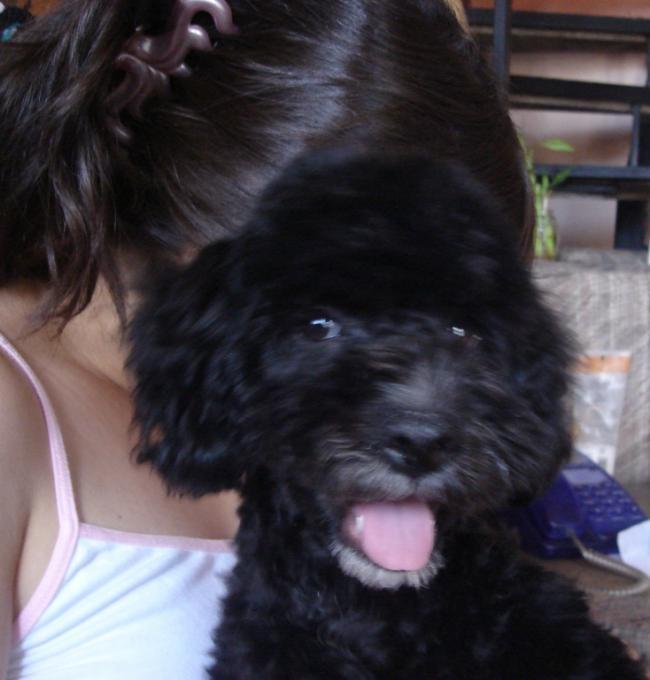 Benito