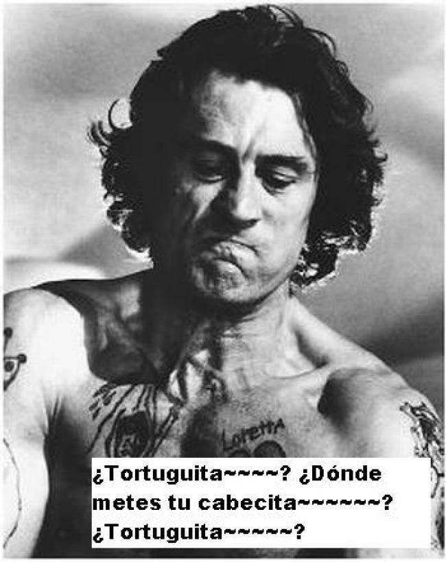 Tortuguita~~~~~~