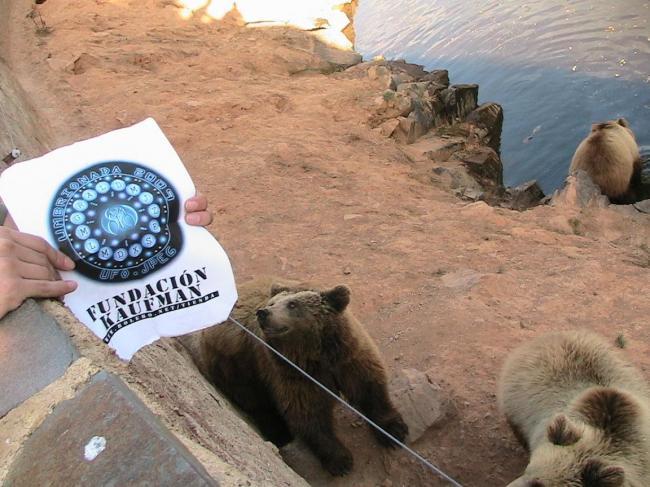 118.- Un oso.