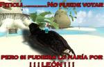 Foto siguiente