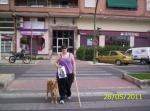 41.-Cruzando la calle con gafas negras, un perro y un bastón blanco.