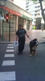 41. Cruzando la calle con gafas negras, un perro y un bastón blanco (CF)