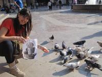 Prueba 42: Dando de comer a unas palomas.