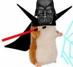 Paper as Darth hamster