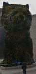 Foto anterior