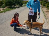 43. Con un perro levantando la patita a modo de saludo.