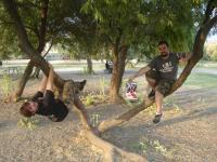 81. Dos miembros del mismo equipo subidos a un árbol.